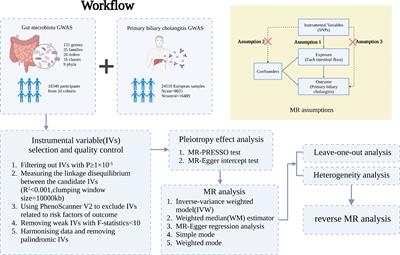 Genetic predisposition of the gastrointestinal microbiome and primary biliary cholangitis: a bi-directional, two-sample Mendelian randomization analysis